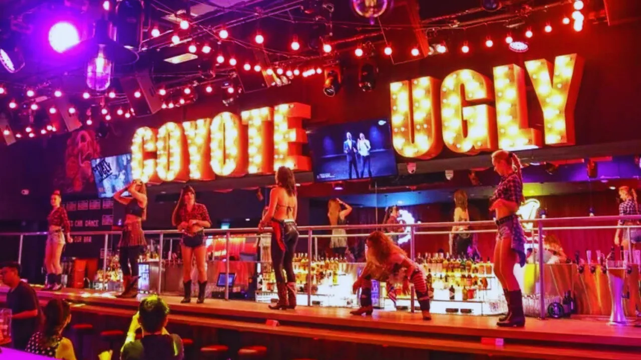 Coyote Entertainment Center